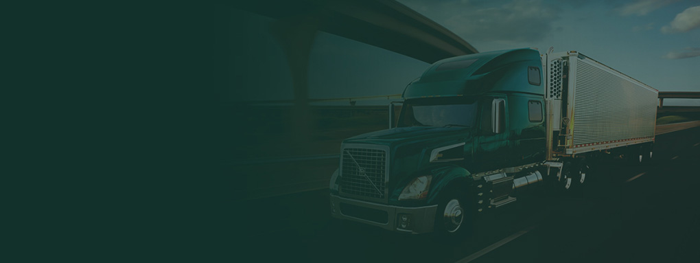 Transporte terrestre